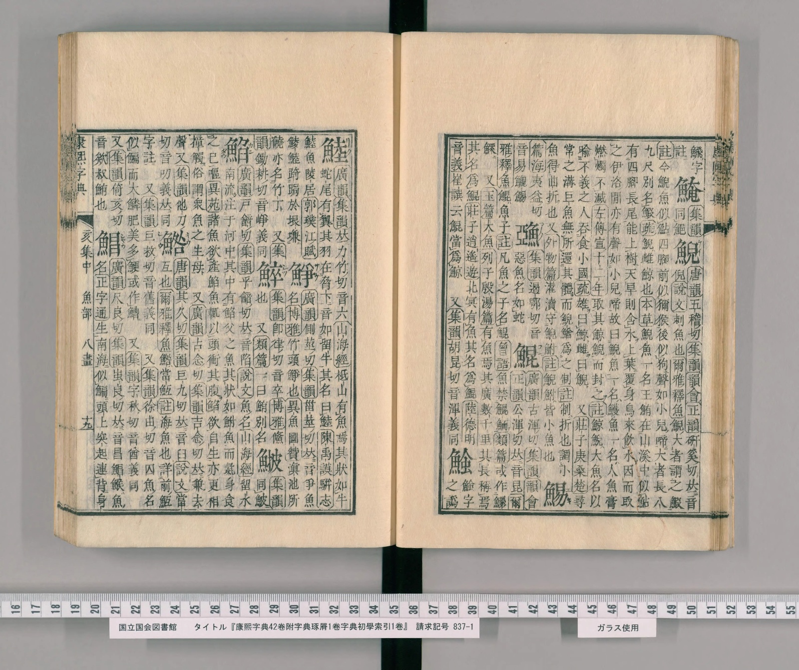 『康熙字典』魚部八畫コマ21の見開き。左ページの右端の列の頭に見出し「鯥」