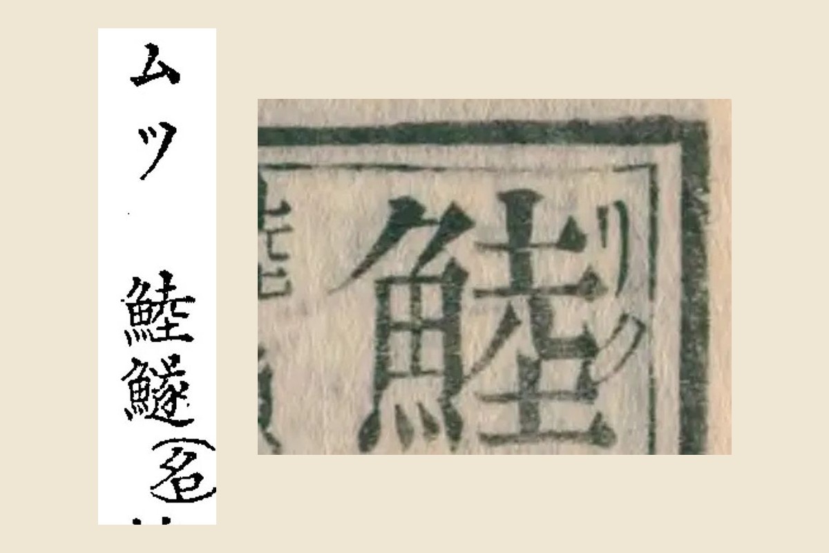 『水産俗字集』の「ムツ　鯥鱁（名）」と、『康熙字典』の見出し「鯥」の大写し