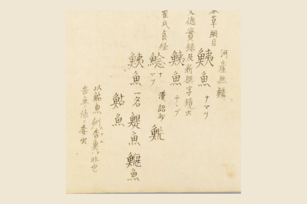 『梅園魚品図正』のナマズの見出し群「本草綱目 鮧魚」「崔氏食経 鯰」「漢語抄 魸」「以鮎魚訓香魚非也」の大写し
