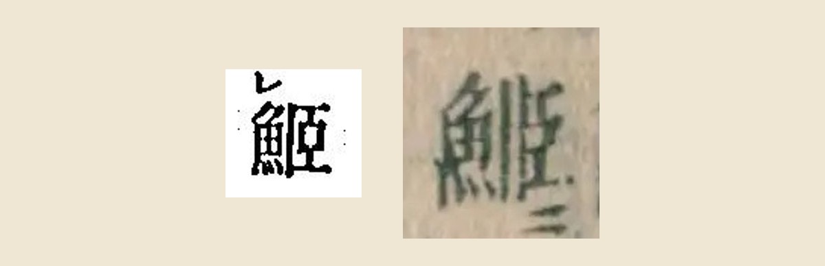 『本朝食鑑』と『箋注倭名類聚抄』の「貌似鰋」の「鰋」の字の大写し