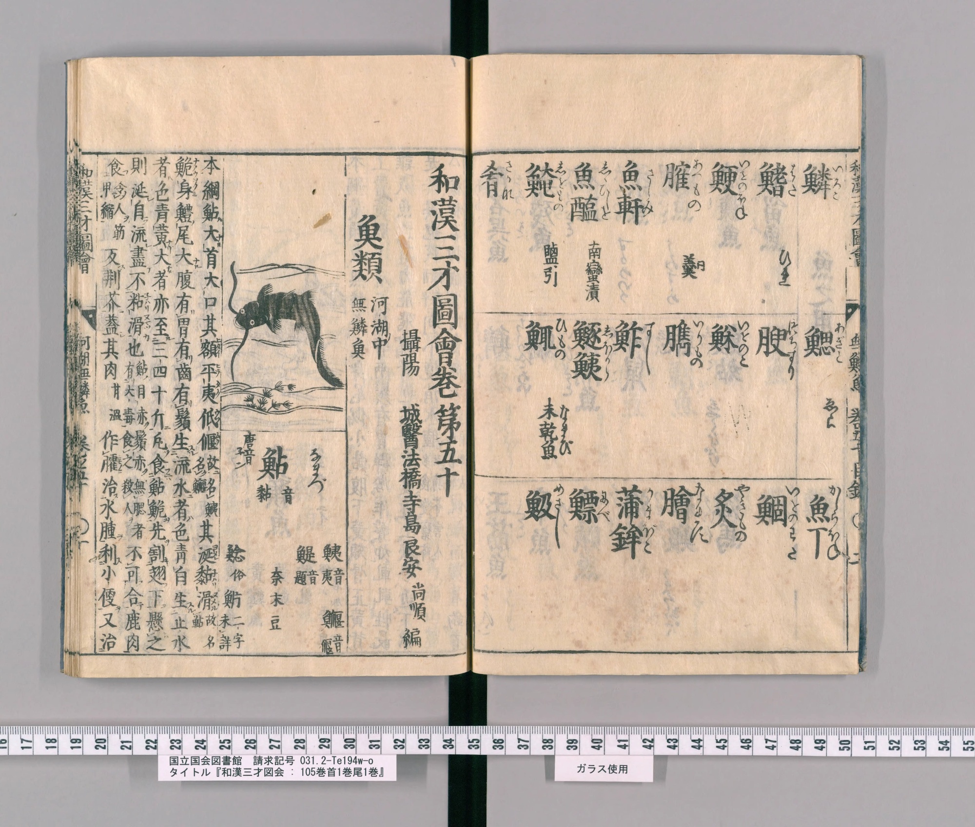 『和漢三才図会』巻五十コマ4の見開き。左ページの区画に、水草の間を泳ぐひげの長いナマズの絵と見出し「鮎」