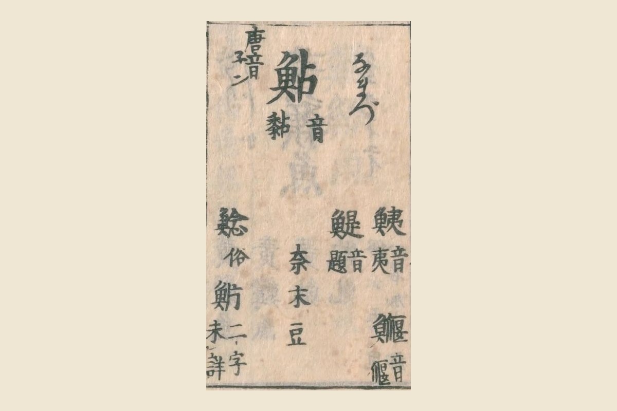 『和漢三才図会』の見出し「鮎（なまづ）音黏 唐音ネン」と、脇の「鮧」「鯷」「鰋」「奈末豆」「鯰 俗 魸 二字未詳」の大写し