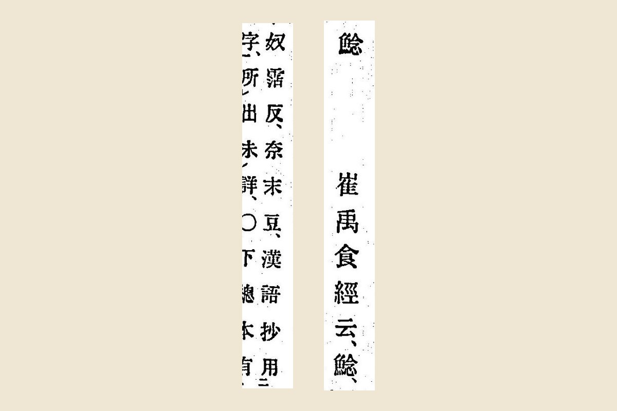『箋注倭名類聚抄』巻八の見出し「鯰」と「崔禹食經云鯰」、続く「奴霑反奈末豆漢語抄用魸字所出未詳」の大写し