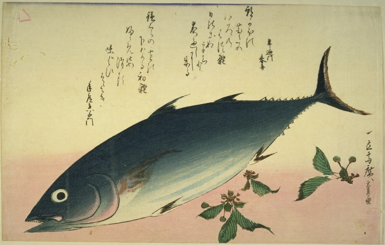 歌川広重の魚づくしの一枚。青黒い背の大きな鰹1尾と、実のついた桜の小枝。上に狂歌が2首