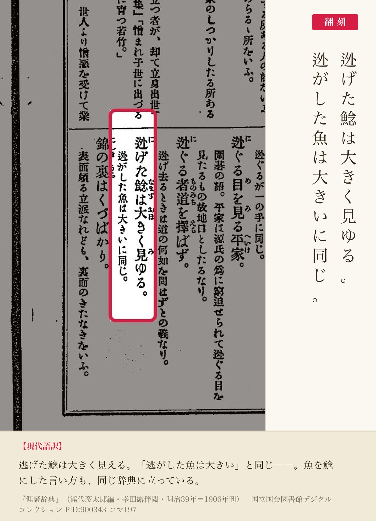 『俚諺辞典』コマ197の「迯げた鯰は大きく見ゆる」の項と翻刻