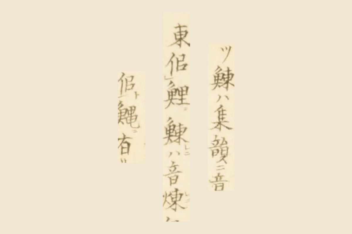 『梅園魚譜』コマ56の書き入れ「…ハ集韻ニ音」「東似鯉…ハ音煉」「似鰋有リテ」の大写し