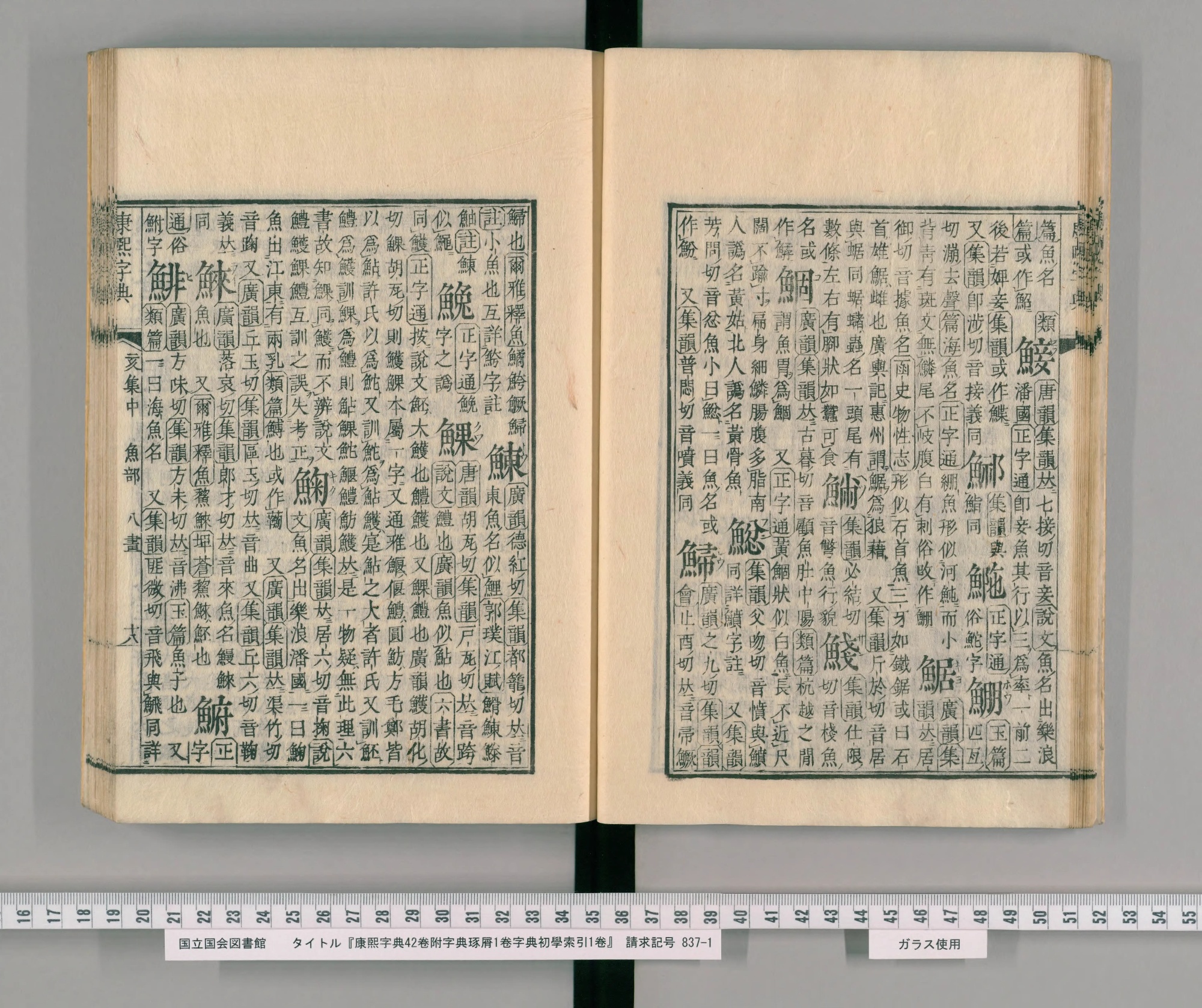 『康熙字典』和刻本の魚部コマ20の見開き。左ページに魚へんの八画の字が並ぶ