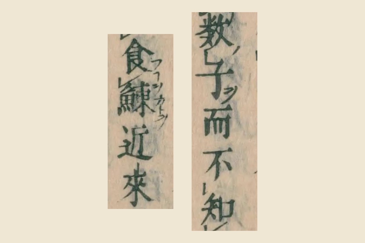 『本朝食鑑』巻八 集解の「數子而不知」「食鰊近來」の大写し。「鰊」の右に振り仮名「カドヲ」