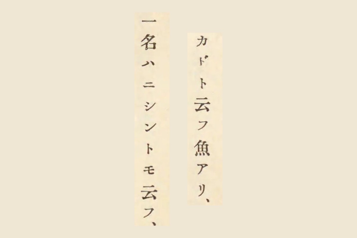 『古事類苑』所引『採藥使記』の「カドト云フ魚アリ、」「一名ハニシントモ云フ、」の大写し