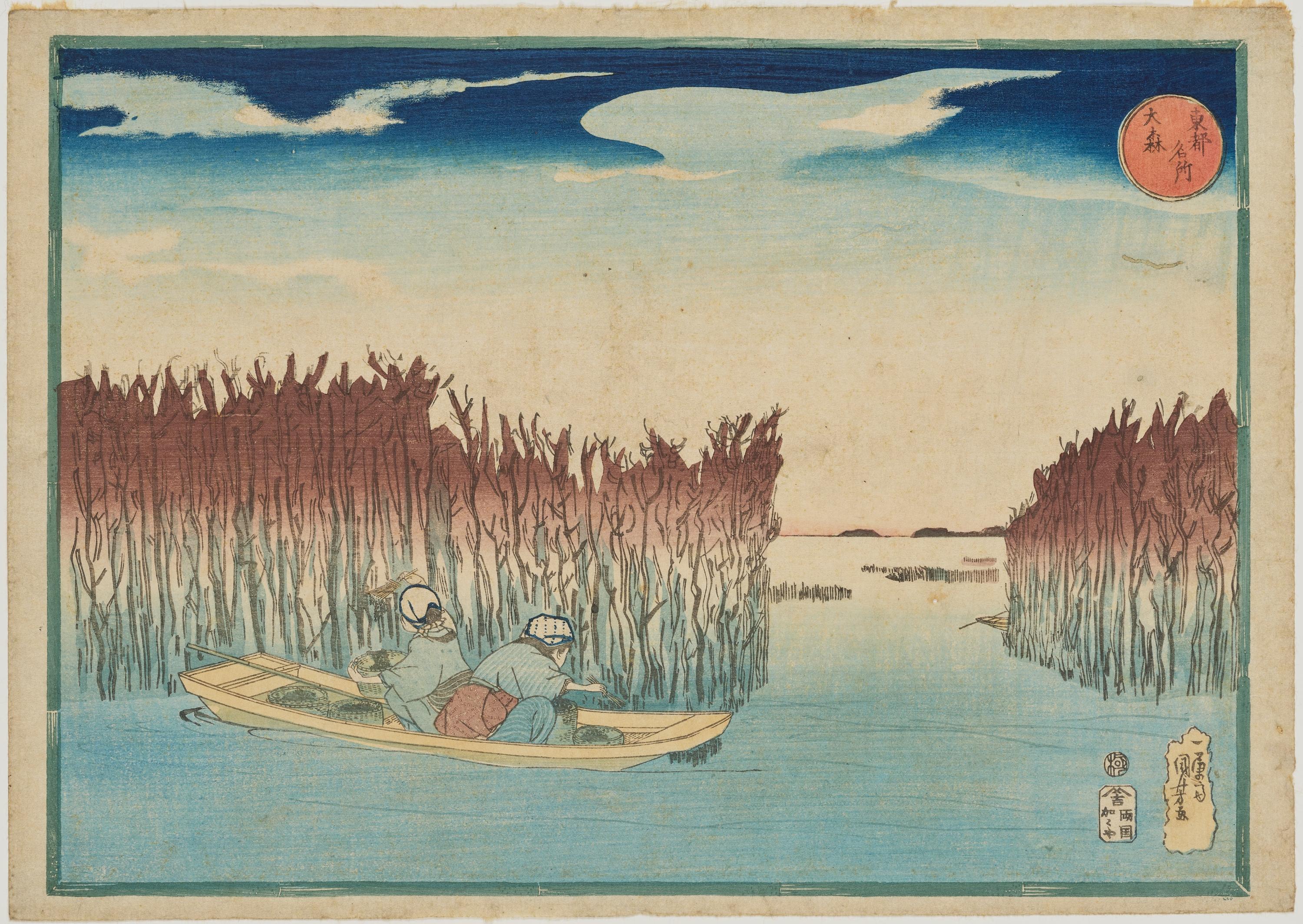 海に林のように立ち並ぶ木と、そのあいだの水路を進む舟。舟の上の人物が木に手を伸ばしている