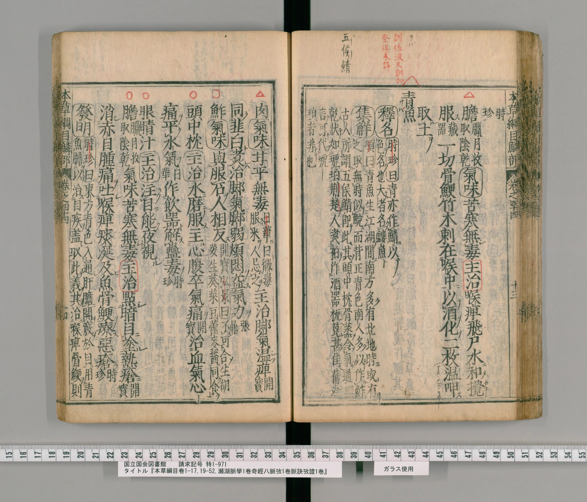 『本草綱目』承応2年刊本 巻四十四 鱗部コマ61の見開き。右ページに見出し「青魚」、上の余白に朱の書き入れ
