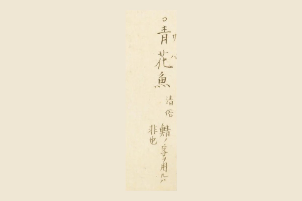 『梅園魚品図正』サバの図の書き入れ「青花魚　清俗　鯖ノ字ヲ用ルハ非也」の大写し