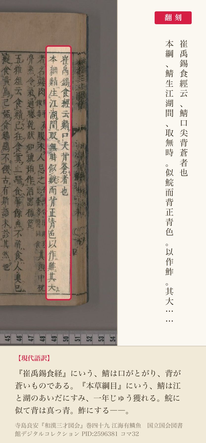 『和漢三才図会』巻四十九コマ32の「崔禹錫食經云鯖口尖背蒼者也」「本綱鯖生江湖間」の2列と翻刻