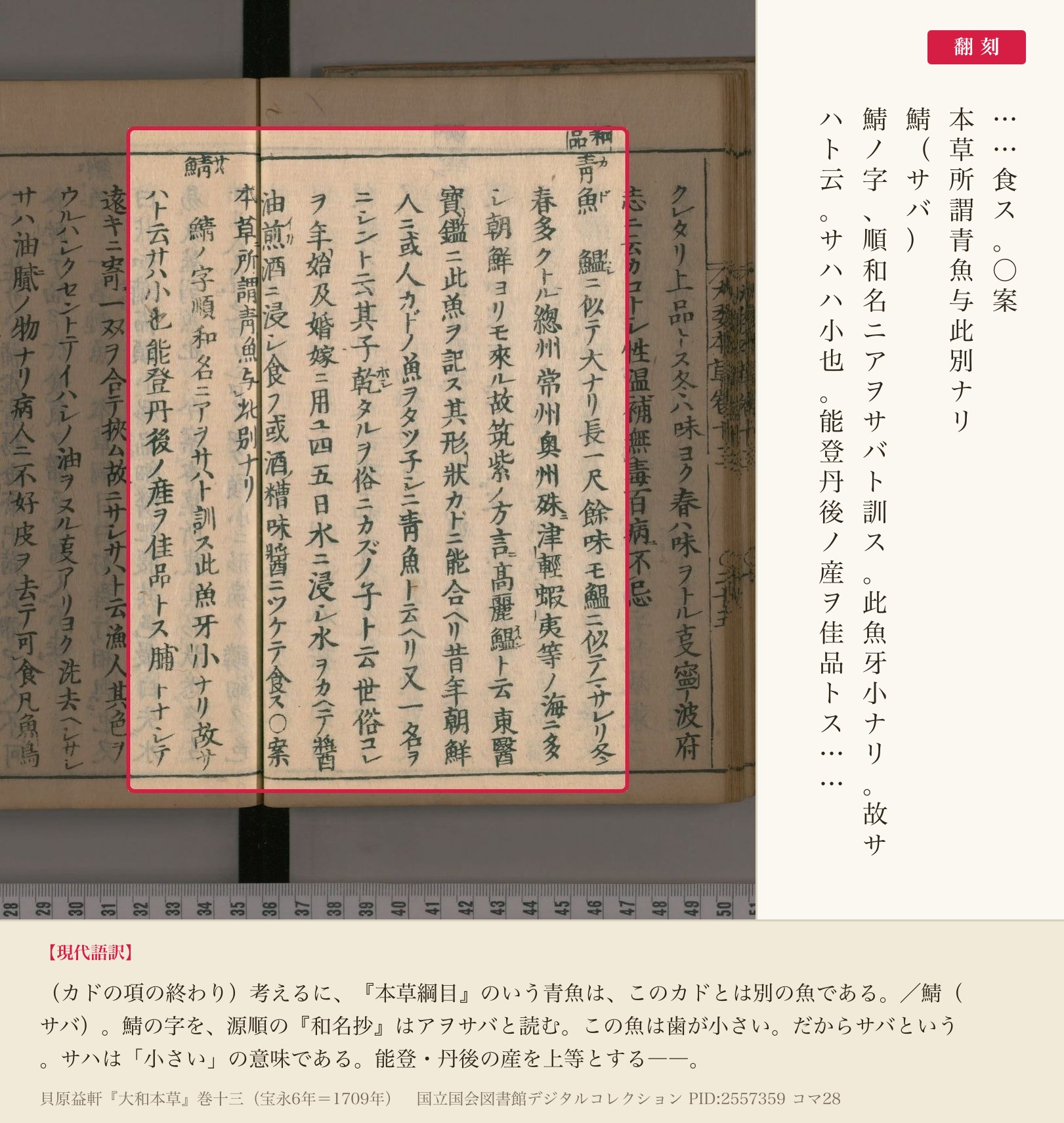 『大和本草』巻十三コマ28の「本草所謂青魚与此別ナリ」と、続く鯖の項の冒頭の翻刻