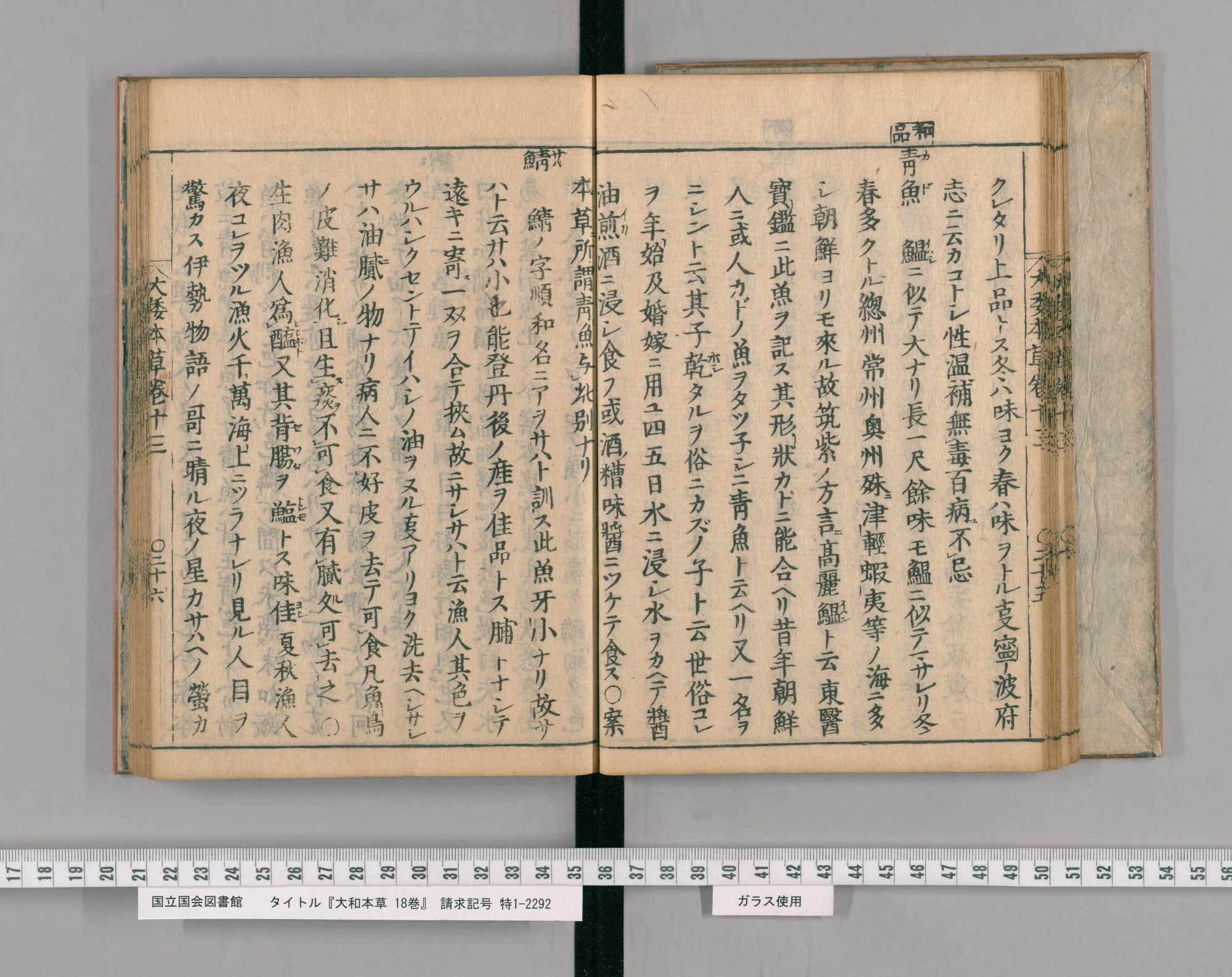 『大和本草』巻十三コマ28の見開き。右ページ頭に「和品」の印と見出し「青魚（カド）」、左ページに見出し「鯖（サバ）」