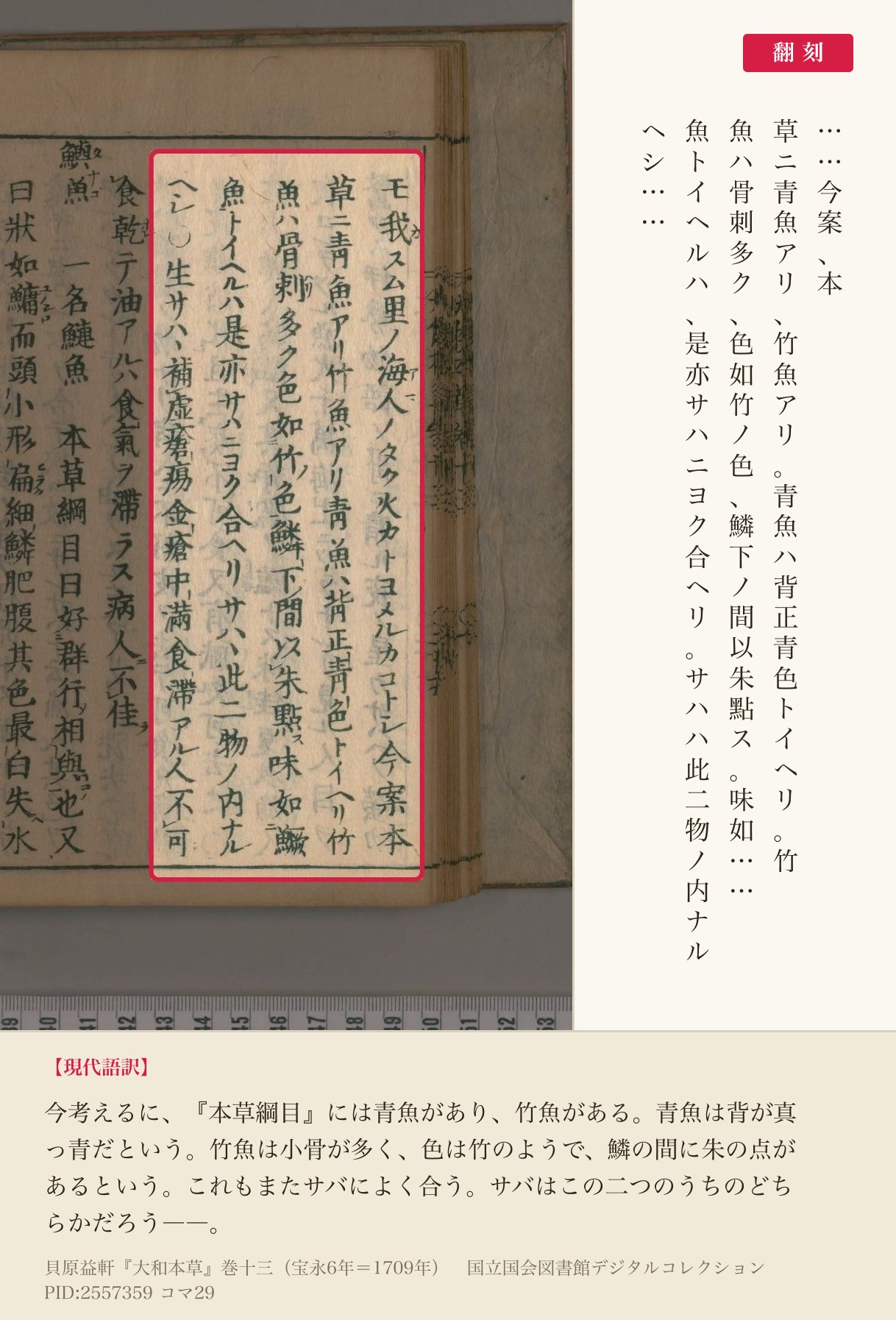 『大和本草』巻十三コマ29の「サハハ此二物ノ内ナルヘシ」を含む5列と翻刻