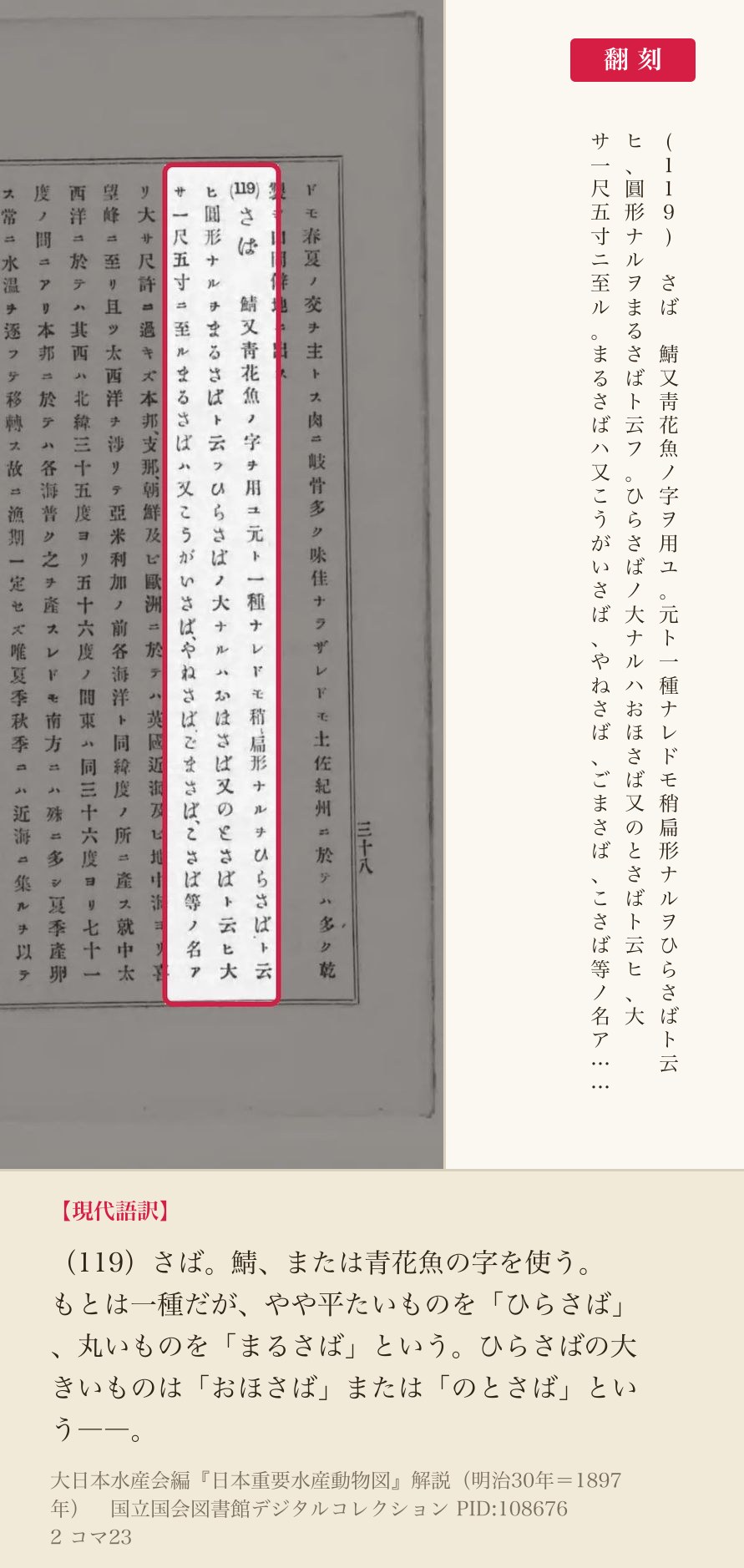 『日本重要水産動物図』解説コマ23の「(119)さば　鯖又靑花魚ノ字ヲ用ユ」の項と翻刻