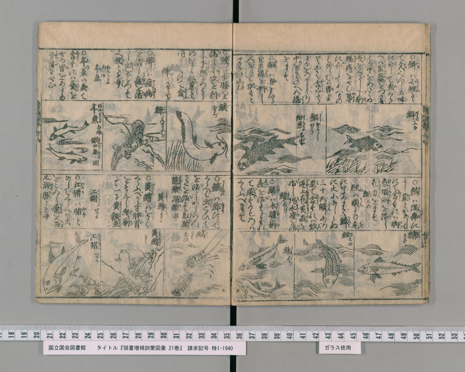 『頭書増補訓蒙図彙』コマ18 見開き全体