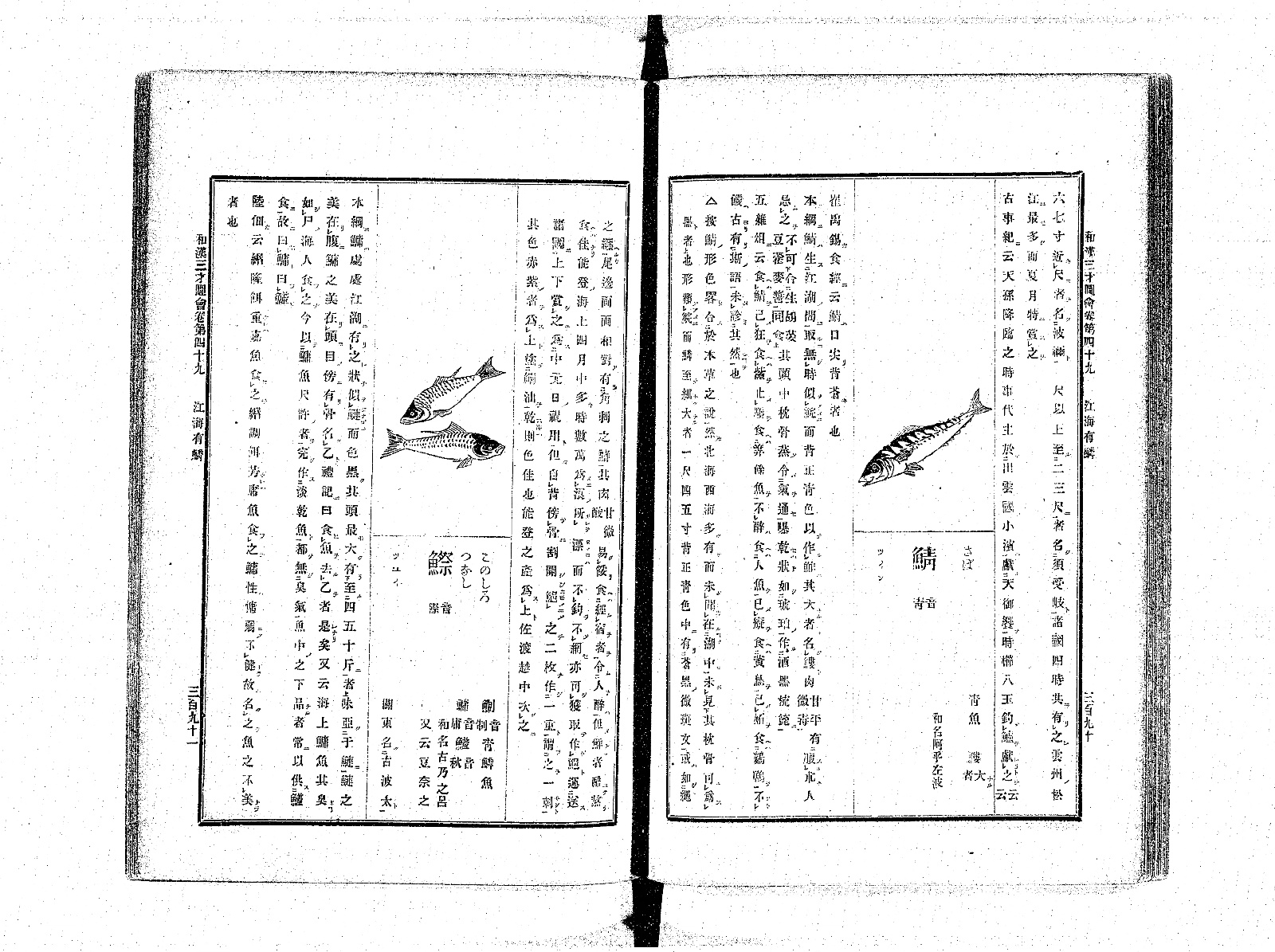 『和漢三才図会』巻四十九 江海有鱗 コマ202 見開き全体