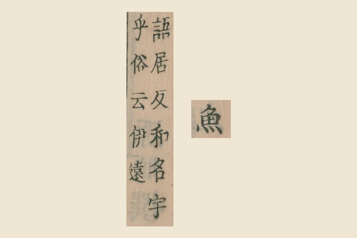 『倭名類聚鈔』巻十九コマ3から見出しの「魚」と注「語居反和名宇乎俗云伊遠」を大きく切り出したもの