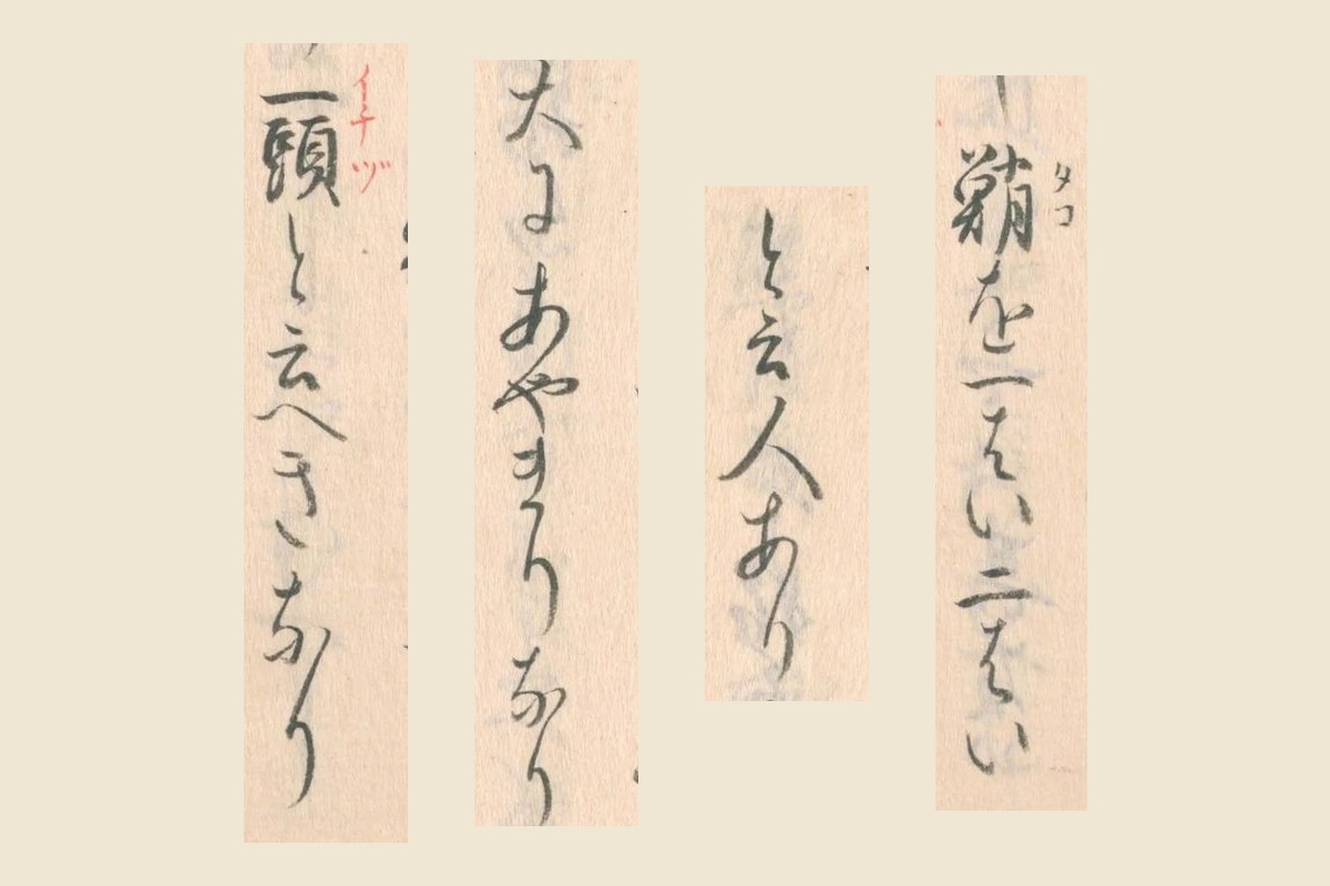 「諸聞書条々」の「蛸を一はい二はい」「と云人あり」「大にあやまりなり」「一頭と云へきなり」の大写し