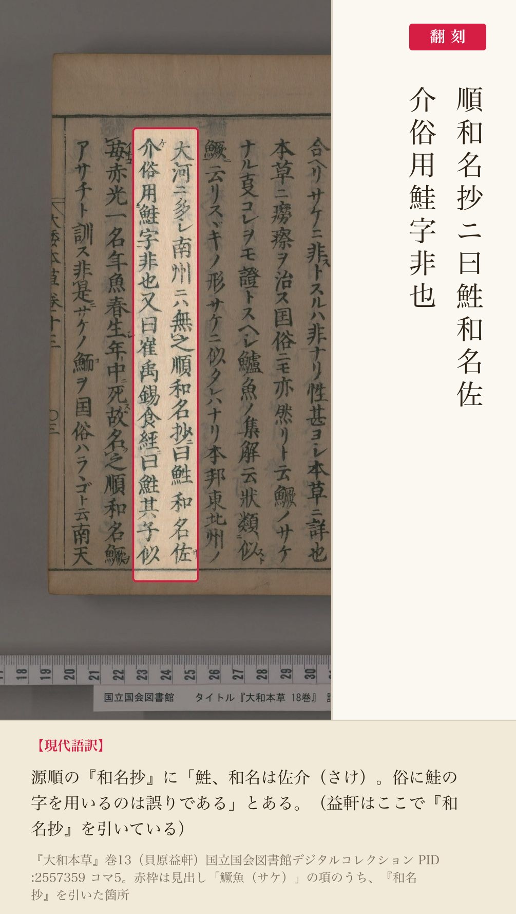 『大和本草』巻13 鱖魚（サケ）の項で『和名抄』を引いた箇所の赤枠注釈と翻刻