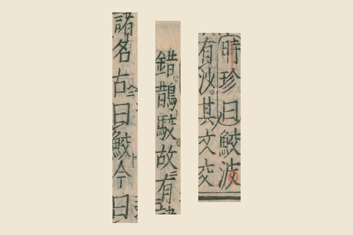 『本草綱目』コマ93の「時珍曰鮫波」「有沙其文交」「錯鵲駁故有諸」「諸名古曰鮫今曰」の大写し