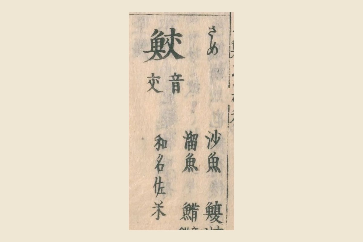 『和漢三才図会』の見出し「鮫（さめ）音交」と別名「沙魚」「溜魚」「和名佐米」の大写し
