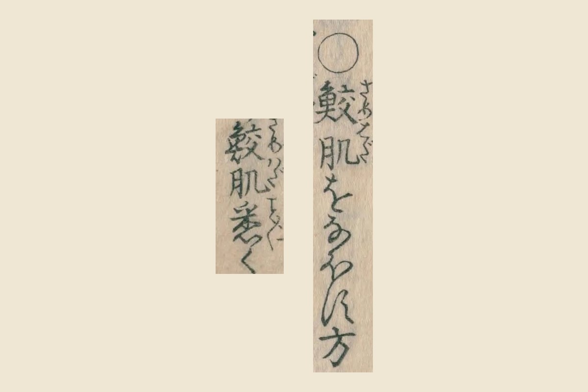 『広益秘事大全』コマ15の「鮫肌をなほす方」と「鮫肌悉く」の大写し