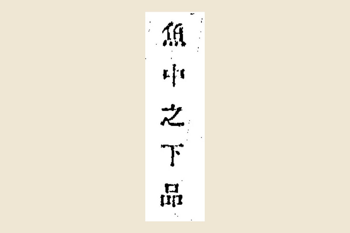 『和漢三才図会』「佐伊羅魚」本文の「魚中之下品」の大写し