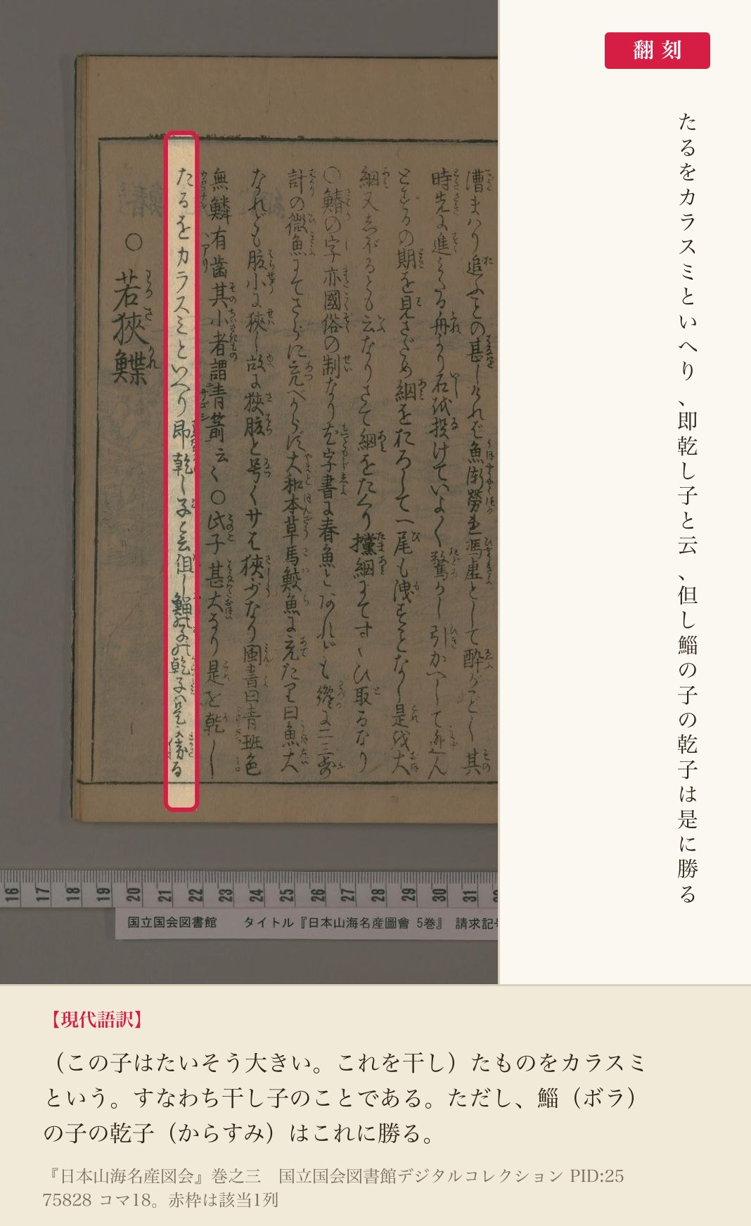 『日本山海名産図会』巻之三、サワラの子を干したものについての1列と翻刻