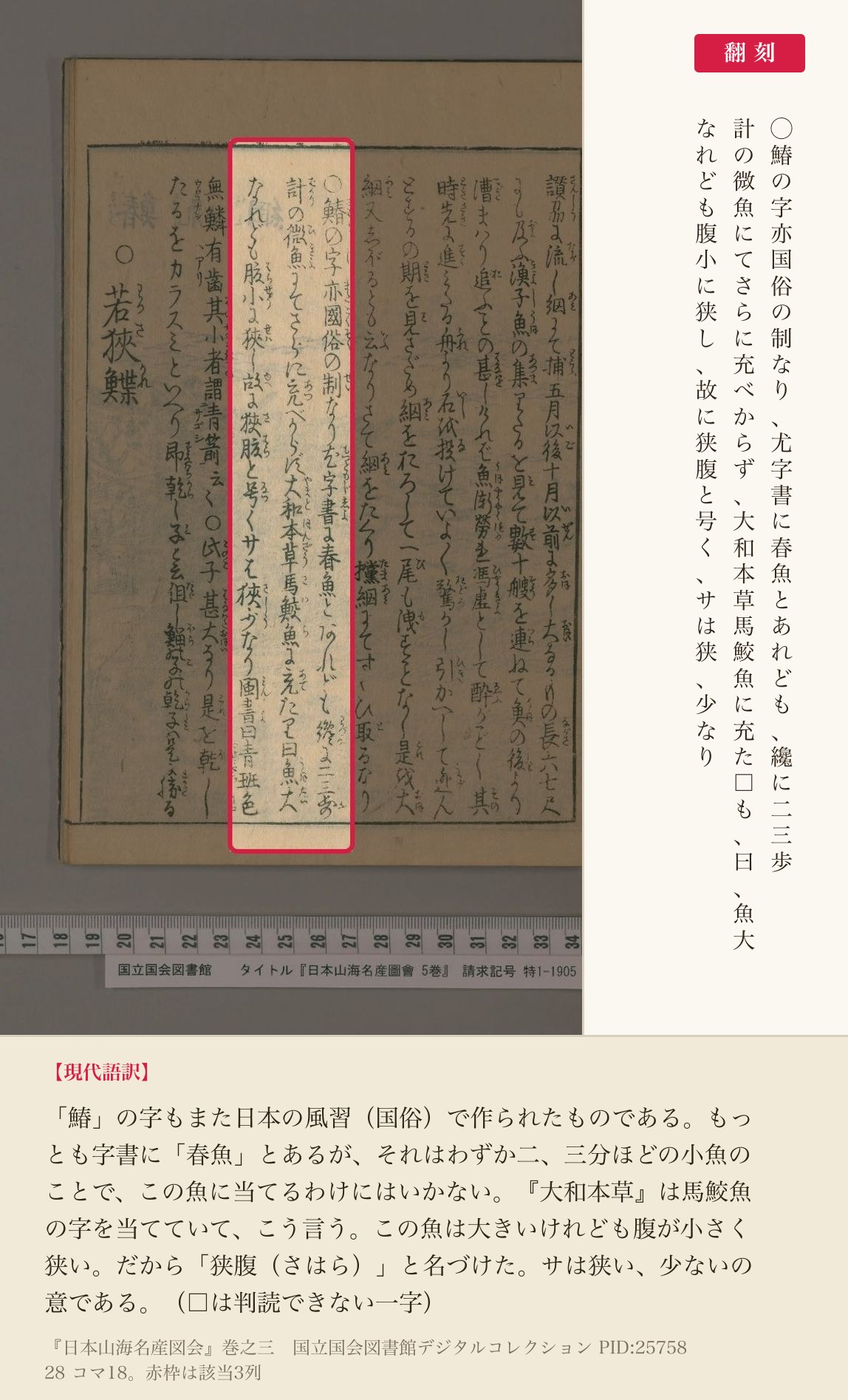 『日本山海名産図会』巻之三「鰆」の、字と名前を論じた3列と翻刻