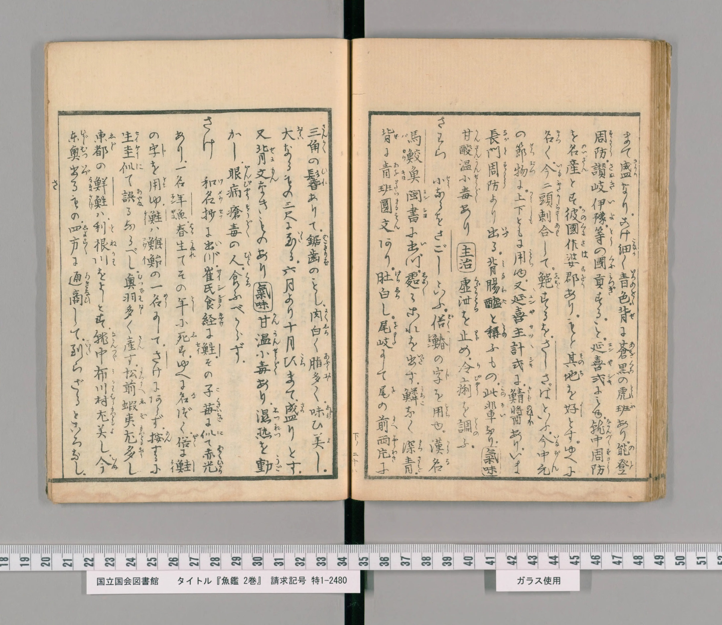 『魚鑑』巻の下の見開き。右ページの中ほどに「さはら」の項