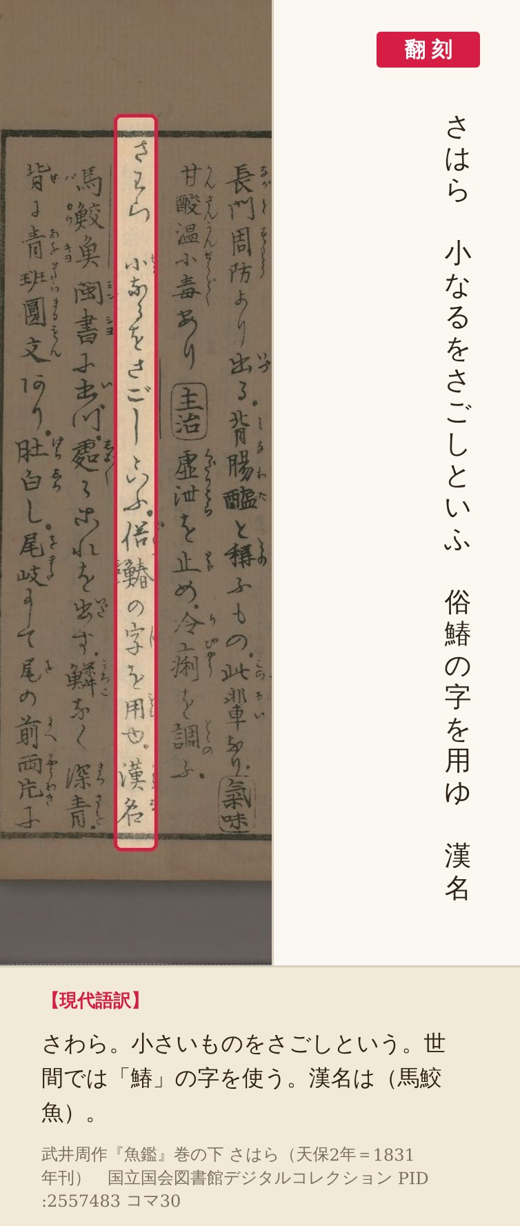 『魚鑑』コマ30の「さはら　小なるをさごしといふ」の1列の赤枠と翻刻