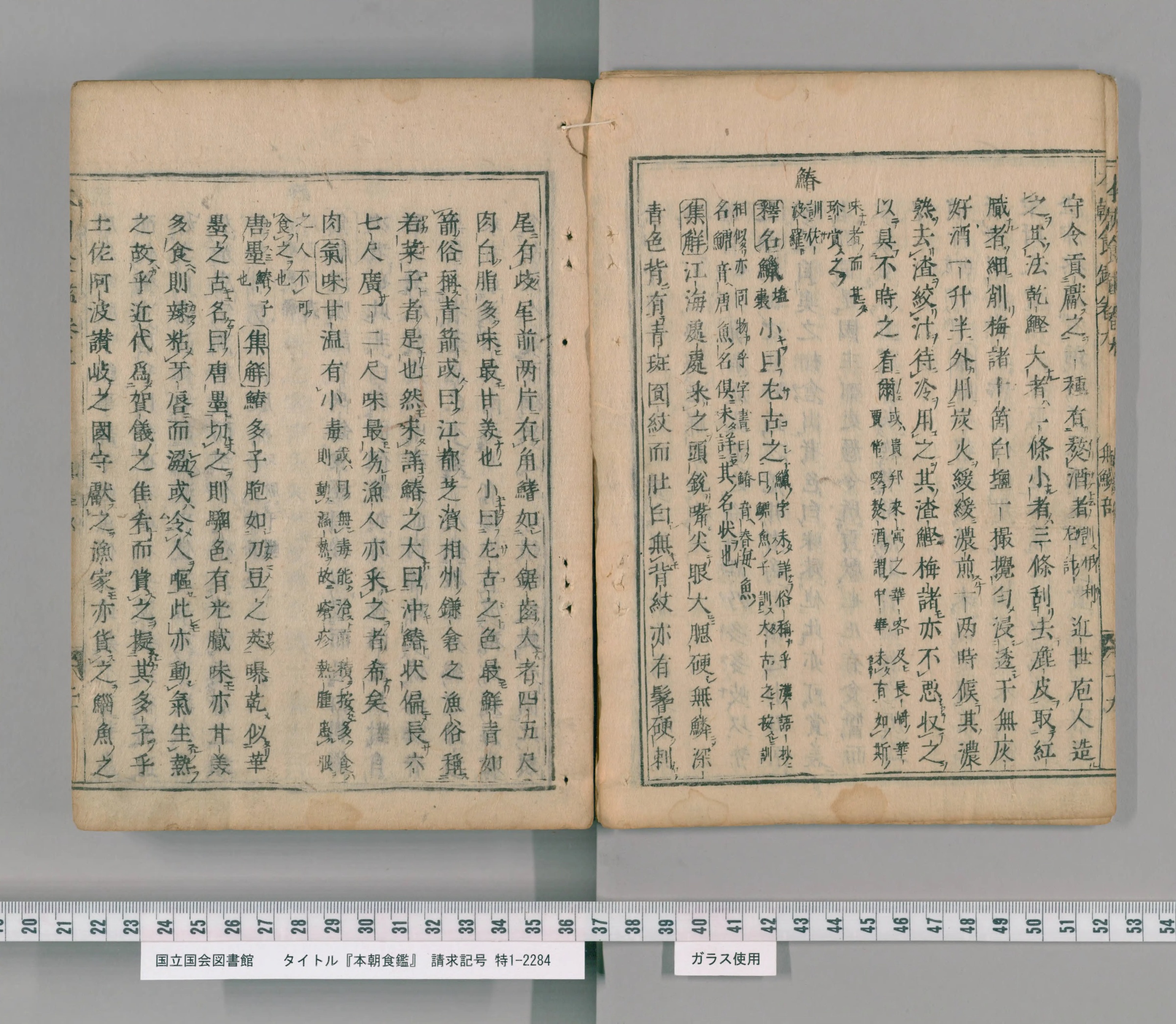 『本朝食鑑』の見開き。右ページの中ほどに見出し「鰆」、左ページに大小の名前を書いた列が並ぶ