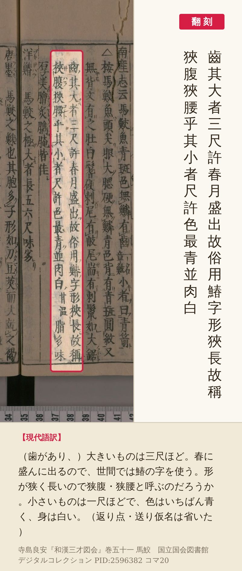 『和漢三才図会』コマ20の「其大者三尺許」から「肉白」までの2列の赤枠と翻刻