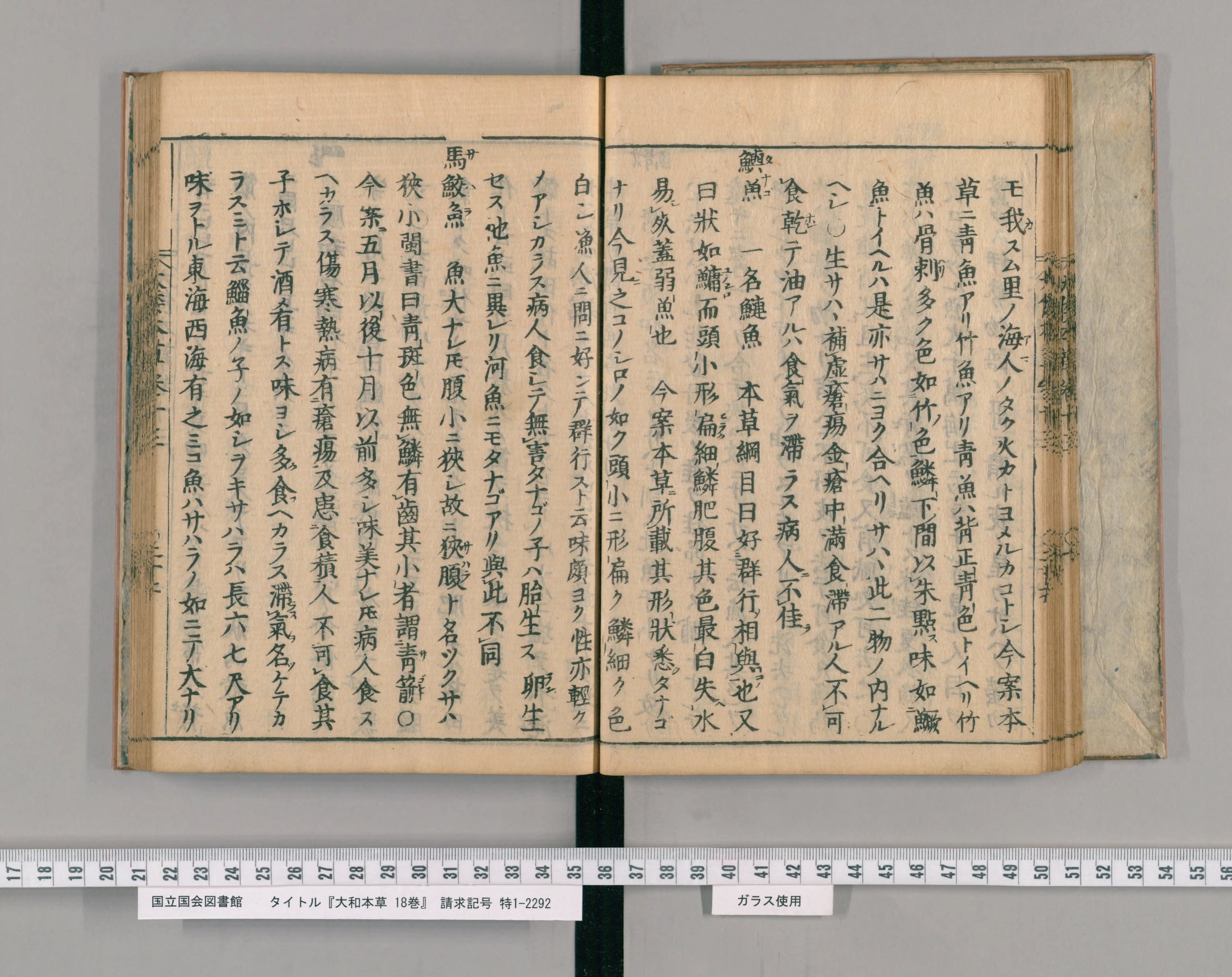 『大和本草』巻十三の見開き。左ページの右端に見出し「馬鮫魚」