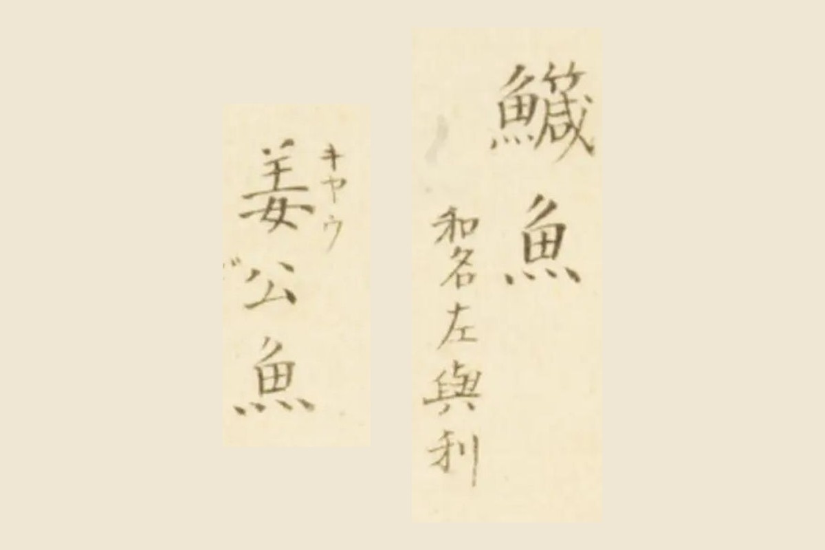 『梅園魚品図正』コマ12の「鱵魚」「和名左與利」と「姜公魚」の大写し