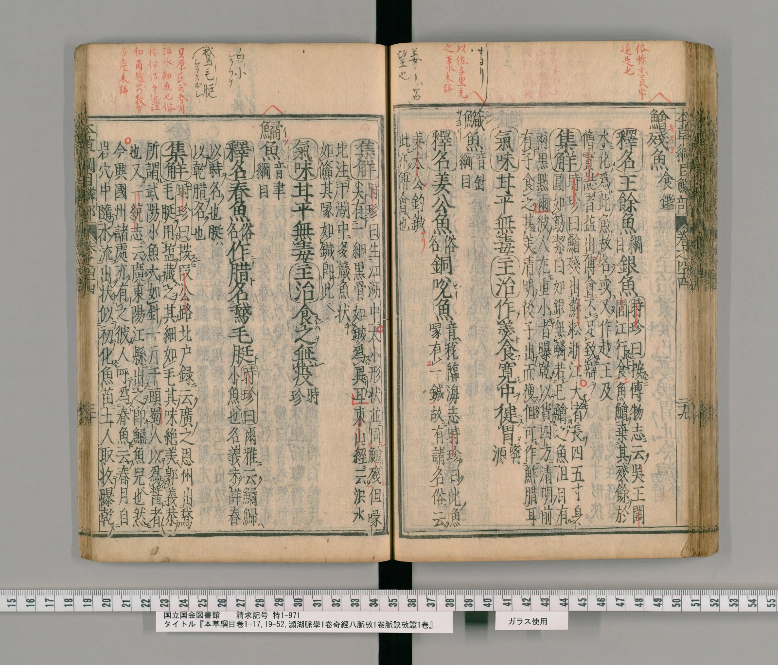 『本草綱目』巻四十四コマ77の見開き。右ページ左寄りに見出し「鱵魚」、左ページの右端にその集解