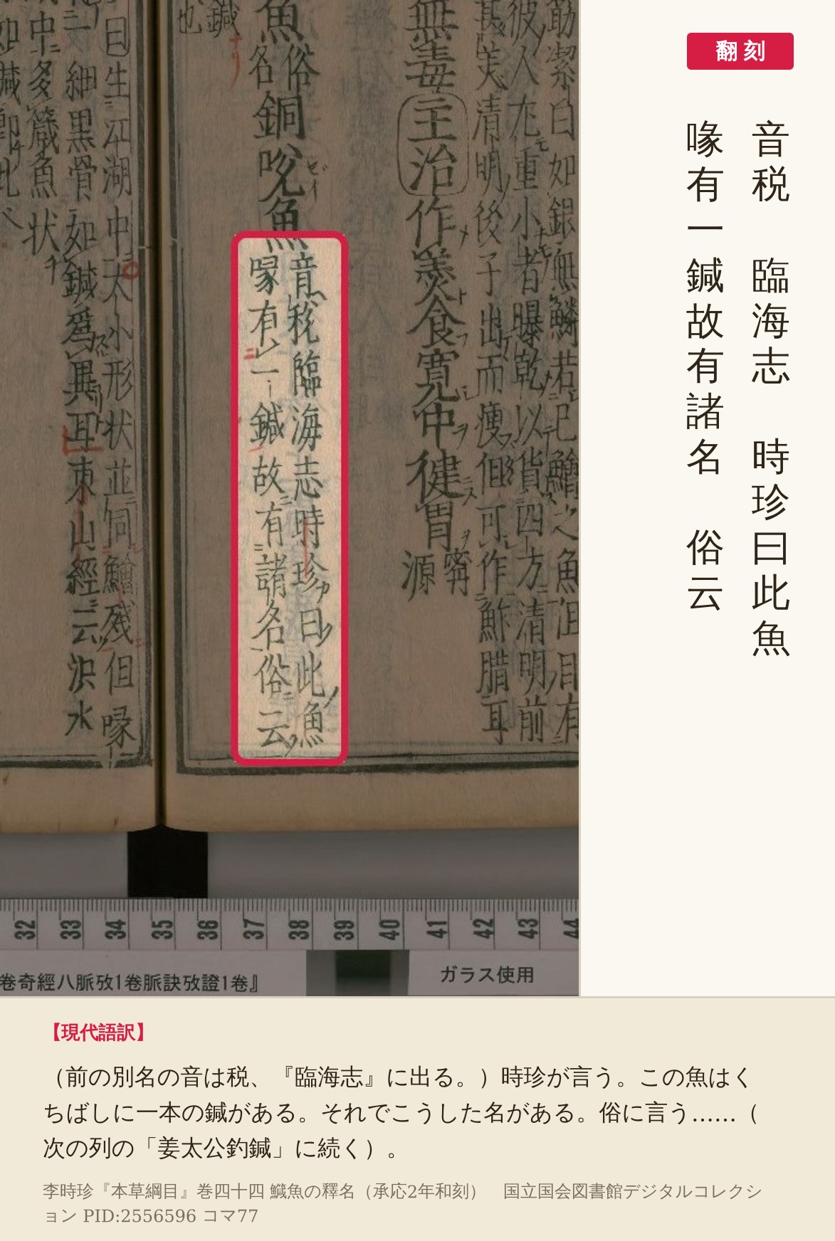 『本草綱目』コマ77の鱵魚の釋名のうち、時珍の説明の二行を赤枠で囲み、翻刻と現代語訳を並べた画像