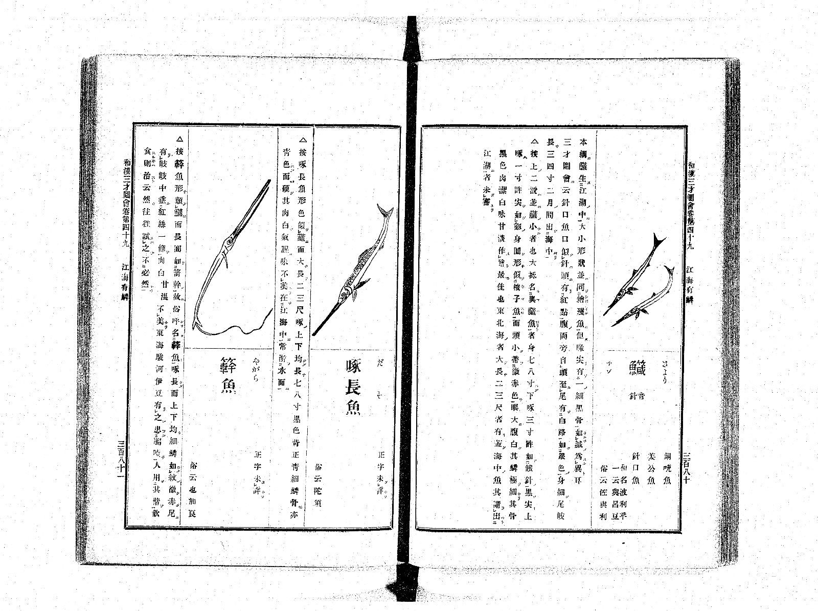 『和漢三才図会』巻四十九の見開き。右ページに二匹のサヨリの図と見出し「鱵」