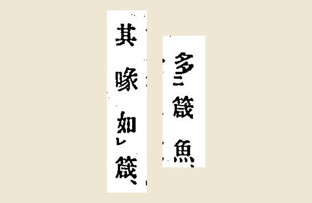 『箋注倭名類聚抄』コマ13の「多箴魚」と「其喙如箴」の大写し