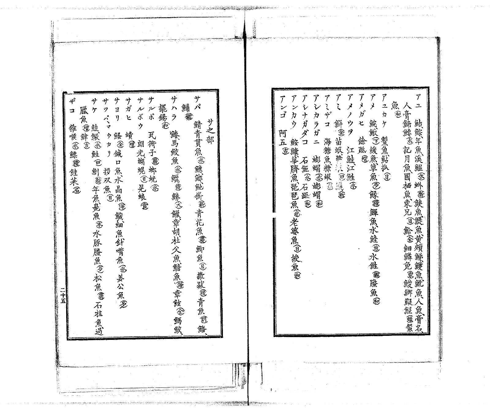 『水産俗字集』コマ25の見開き。左ページの「サ之部」に「サヨリ」の項