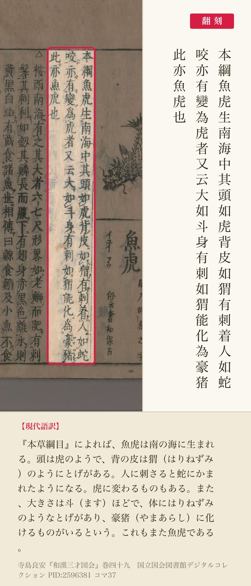 『和漢三才図会』コマ37の「本綱魚虎生南海中其頭如虎」から「此亦魚虎也」までの3列と翻刻