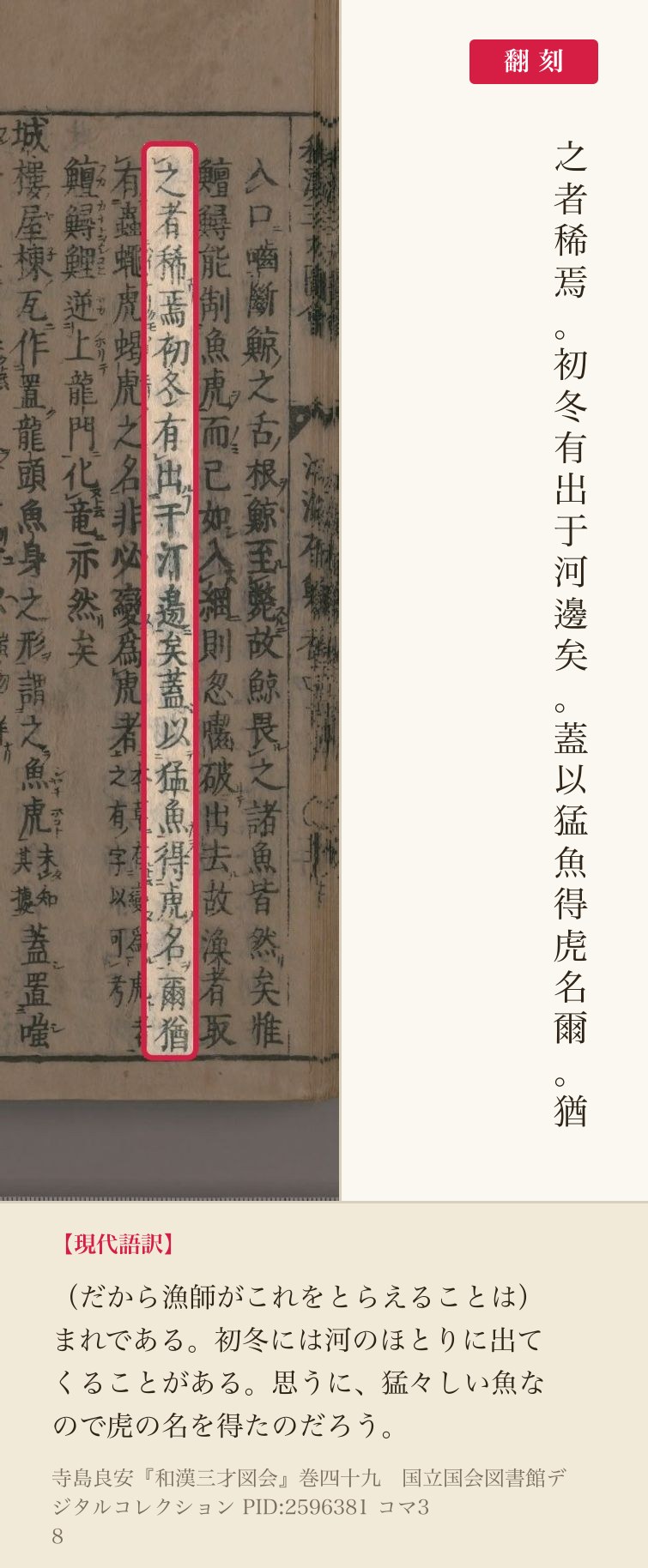 『和漢三才図会』コマ38の「之者稀焉初冬有出于河邊矣蓋以猛魚得虎名爾猶」の1列と翻刻