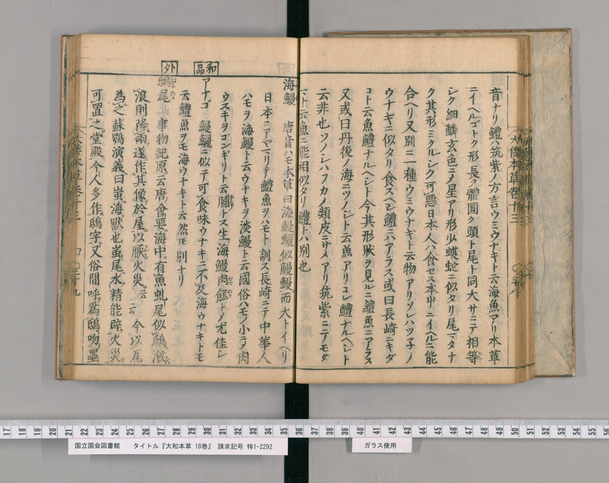 『大和本草』巻十三コマ31の見開き。左ページの左端に見出し「鴟尾」