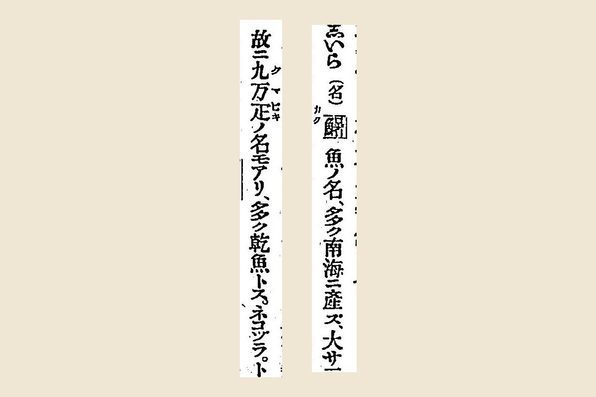 『言海』コマ289の見出し「しいら（名）」と「故ニ九万疋ノ名モアリ、多ク乾魚トス」の大写し