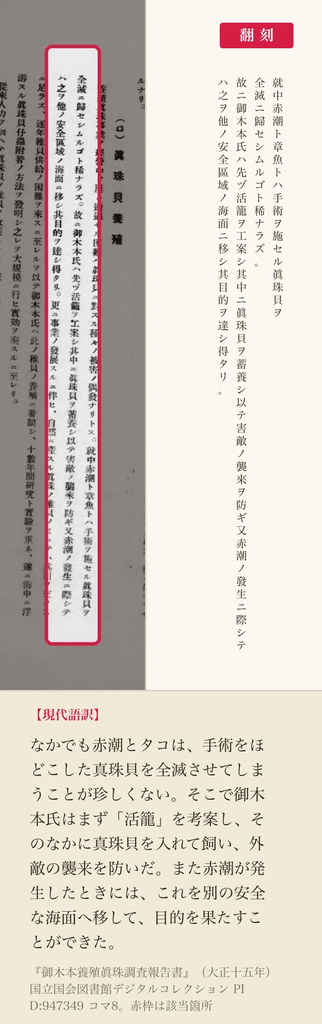 真珠貝の被害と活籠の考案を記した箇所、赤枠と翻刻