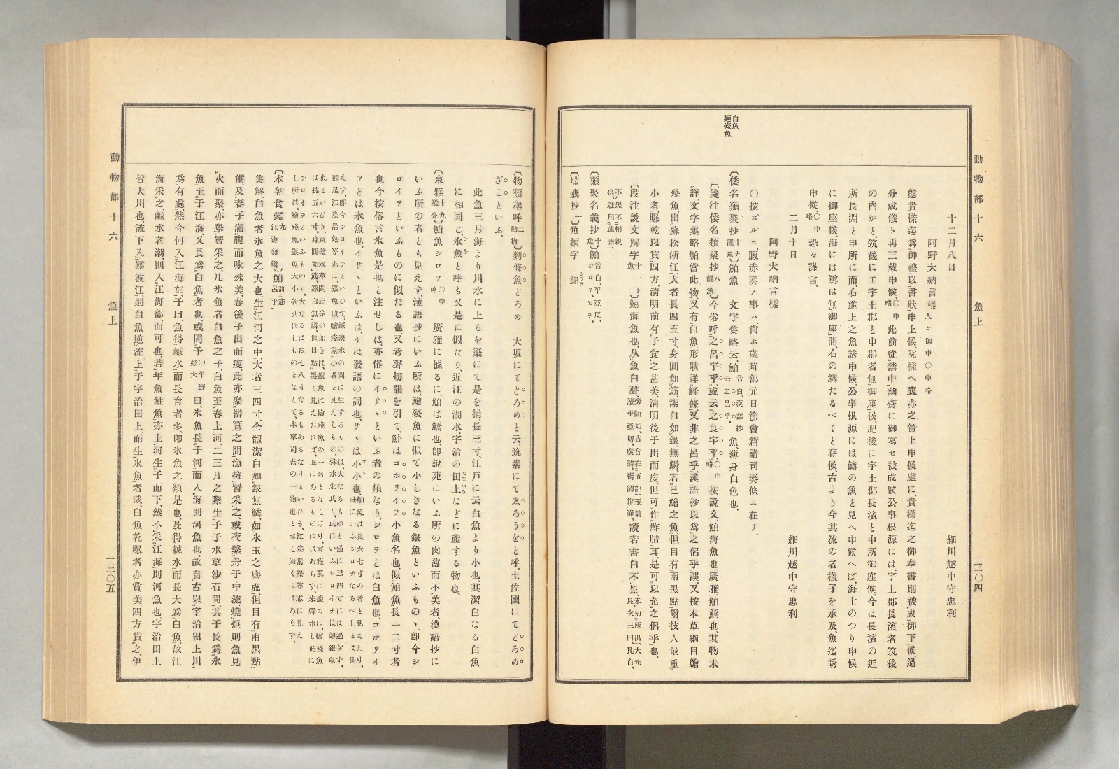 『古事類苑』動物部を開いたところ。右ページ上部の欄外に「白魚 麪條魚」とある