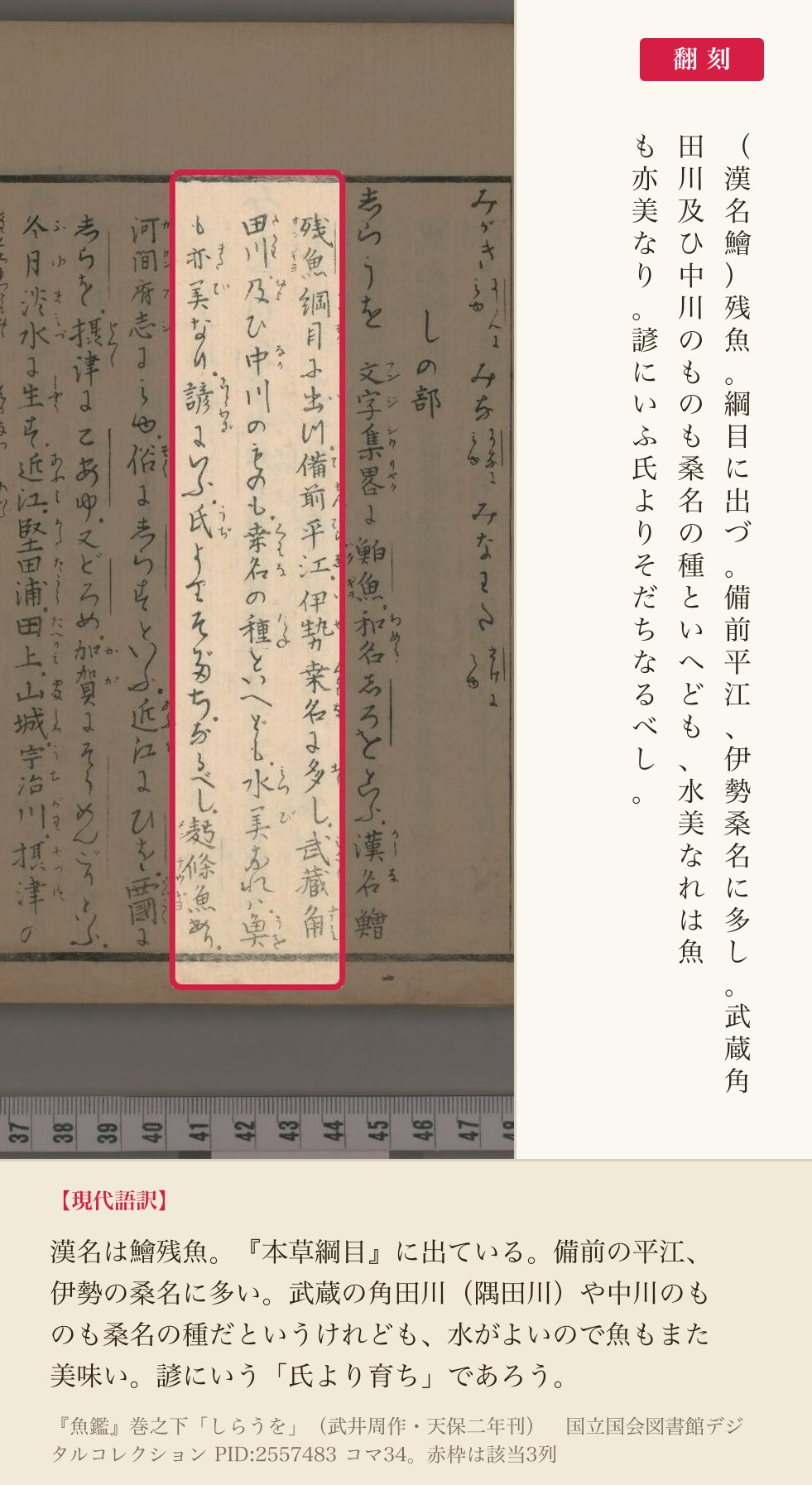 『魚鑑』巻之下「しらうを」の項、産地と「氏よりそだち」を記した3列と翻刻